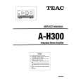 TEAC AH300