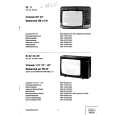 LOEWE CTV4211 Service Manual