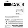 TEAC AG-V1200