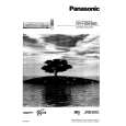 PANASONIC NVHD636 Owner's Manual