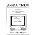 CLATRONIC CTV172 Service Manual