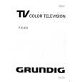 GRUNDIG P50-450 Owner's Manual