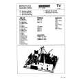 FINLUX 14A1TX Service Manual