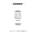 CORBERO V-TWINS2N Owner's Manual