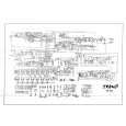 TRAMP WE100 Circuit Diagrams