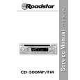 ROADSTAR 300MP