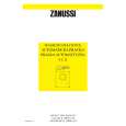 ZANUSSI FL12INPUTC Owner's Manual