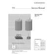 GRUNDIG LSP3WT1 Service Manual