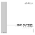 GRUNDIG P45-4101TOP Owner's Manual