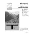PANASONIC TX-43P250 Owner's Manual