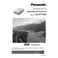PANASONIC SVPT1 Owner's Manual