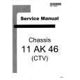 SEG 11AK46 CHASSIS Service Manual