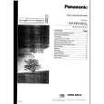 PANASONIC NV-MV40 Owner's Manual