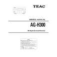 TEAC AG-H300