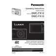 PANASONIC DMCFX10 Owner's Manual