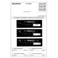 BLAUPUNKT 100R HONDA Service Manual