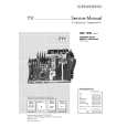 GRUNDIG ARGANTO82FLAT Service Manual