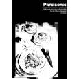 PANASONIC NNE558 Owner's Manual